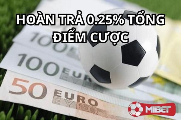 Hoàn trả 0,25% là chương trình khuyến mãi cực hời cho người chơi